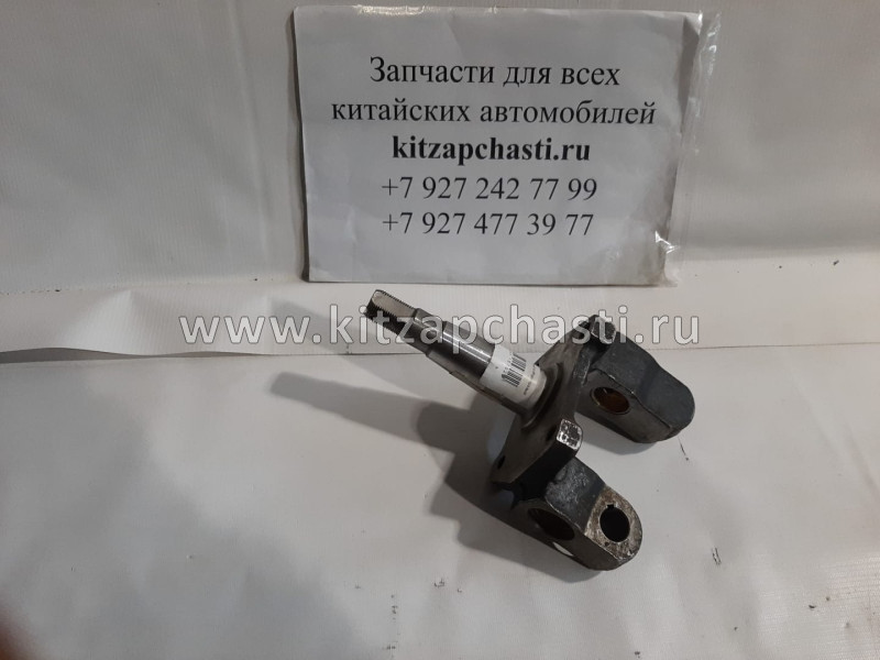 КУЛАК ПОВОРОТНЫЙ В СБОРЕ ПРАВЫЙ BAW 33463 Baw Fenix Tonik 3001410